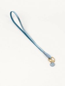 Cambridge Satchel Women The Lanyard - Surf & Royal Foil Crossbody - Image 3