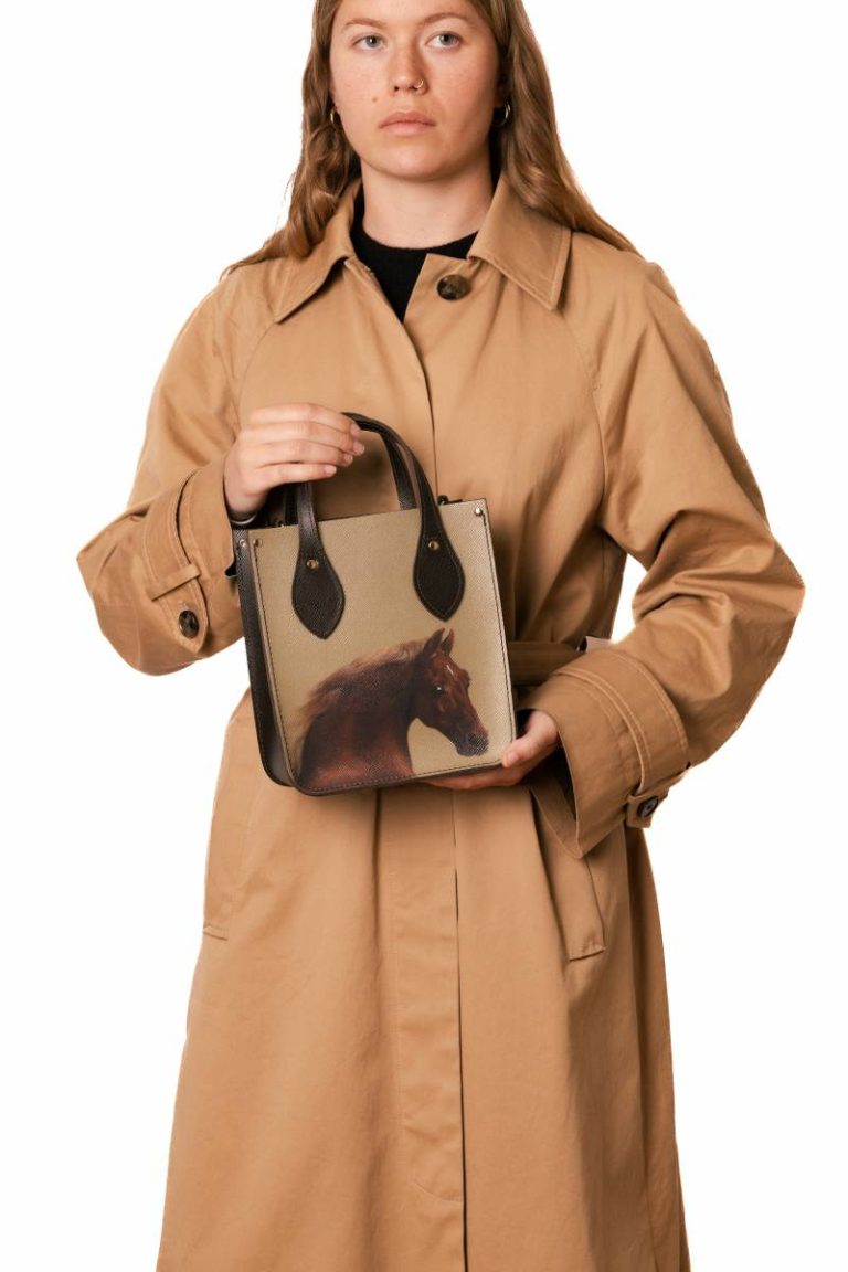Tote Bags The Mini Tote - Dark Brown Saffiano With Whistlejacket Women Cambridge Satchel - Image 2