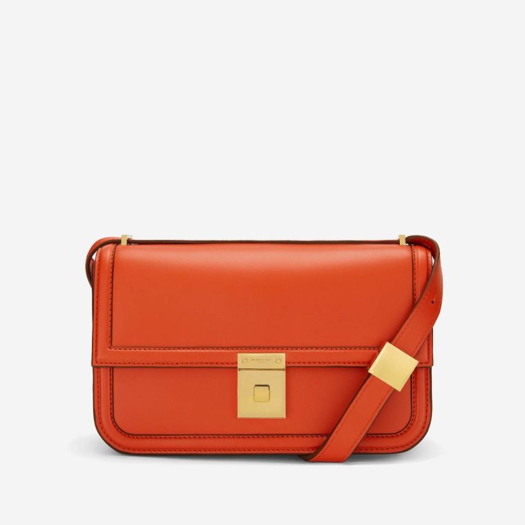 Women Burnt Orange Smooth Crossbody Bags Demellier The Paris Crossbody