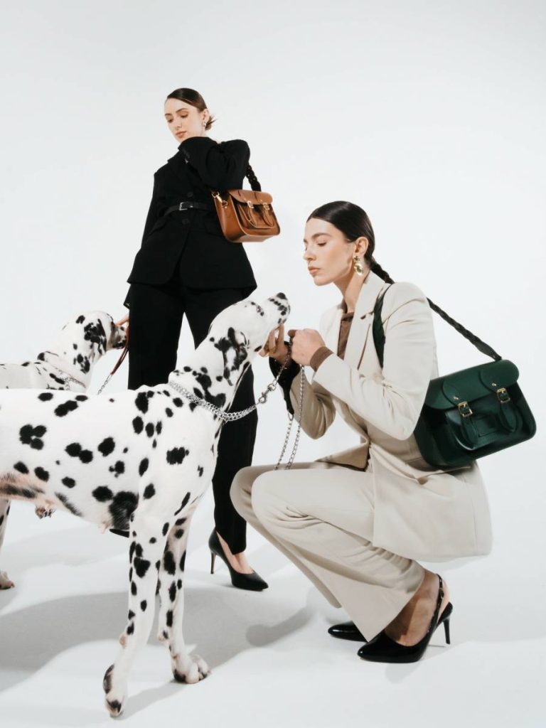Women The Satchel Shoulder Bag - Racing Green Satchels Cambridge Satchel - Image 2