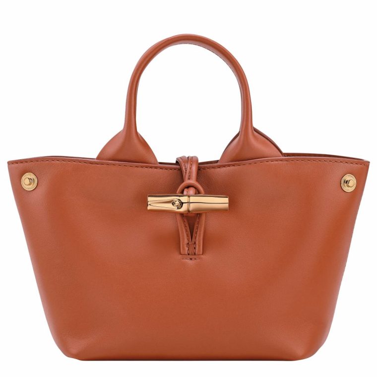Bark Women Leather Bags Le Roseau Xs Handbag Bark - Leather Longchamp - Image 5