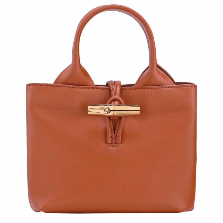 Bark Women Leather Bags Le Roseau Xs Handbag Bark - Leather Longchamp