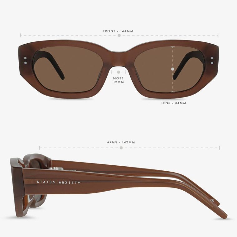 Brown Women Status Anxiety Sunglasses Luna Sunglasses - Brown - Image 5