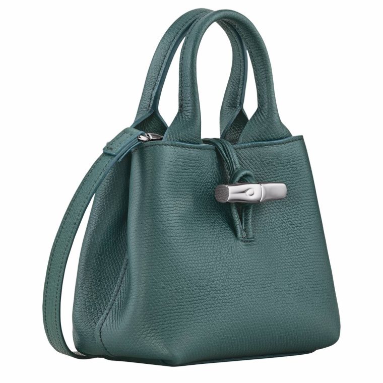 Cedar Leather Bags Women Le Roseau Xs Handbag Cedar - Leather Longchamp - Image 3