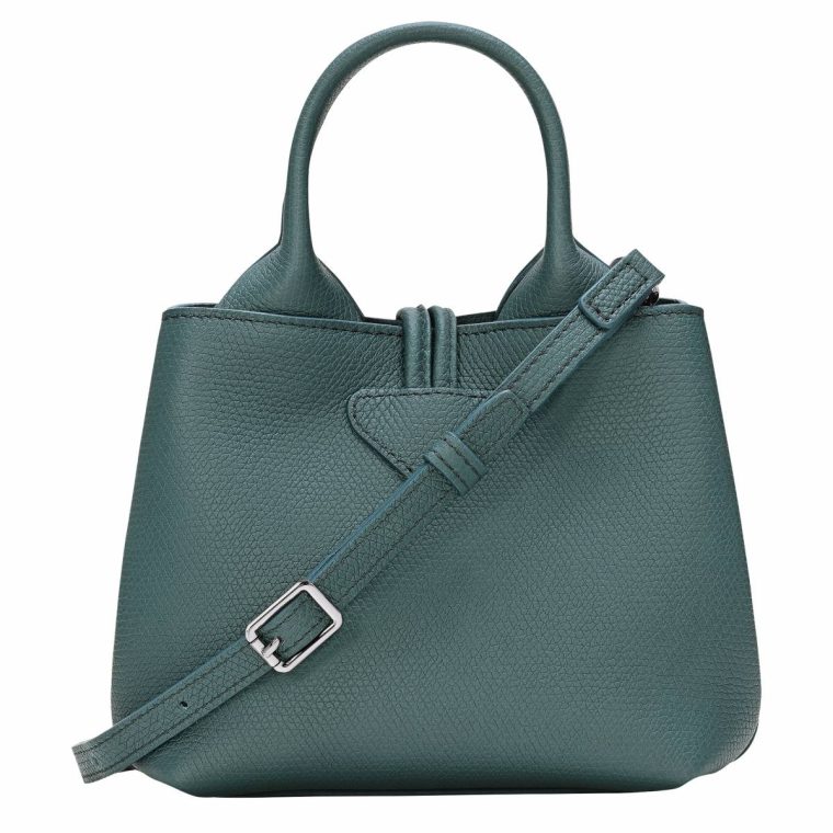 Cedar Leather Bags Women Le Roseau Xs Handbag Cedar - Leather Longchamp - Image 4
