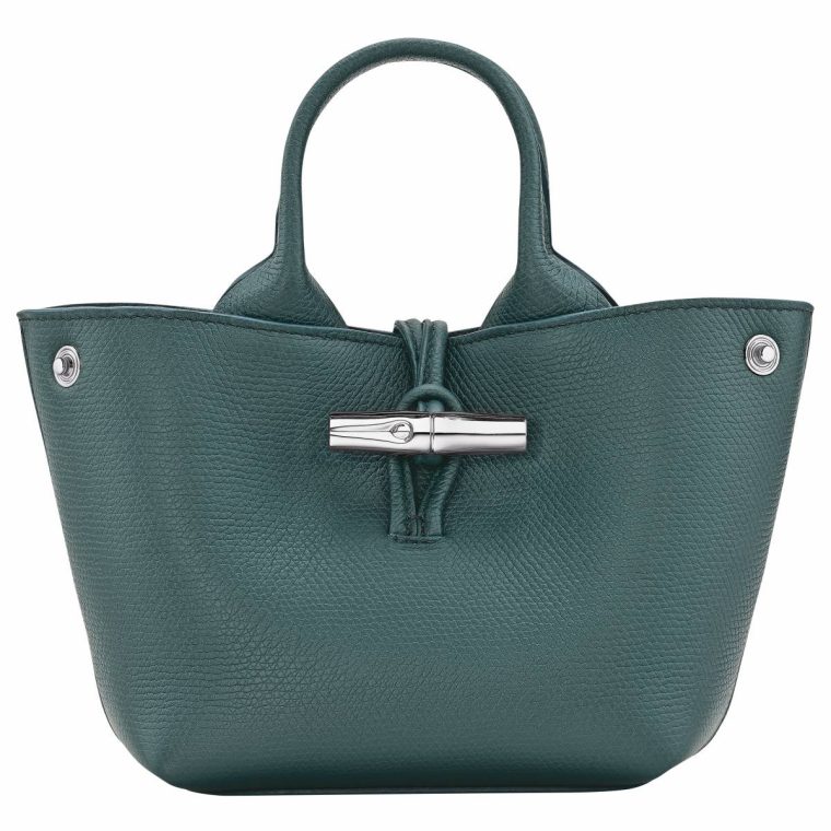 Cedar Leather Bags Women Le Roseau Xs Handbag Cedar - Leather Longchamp - Image 5