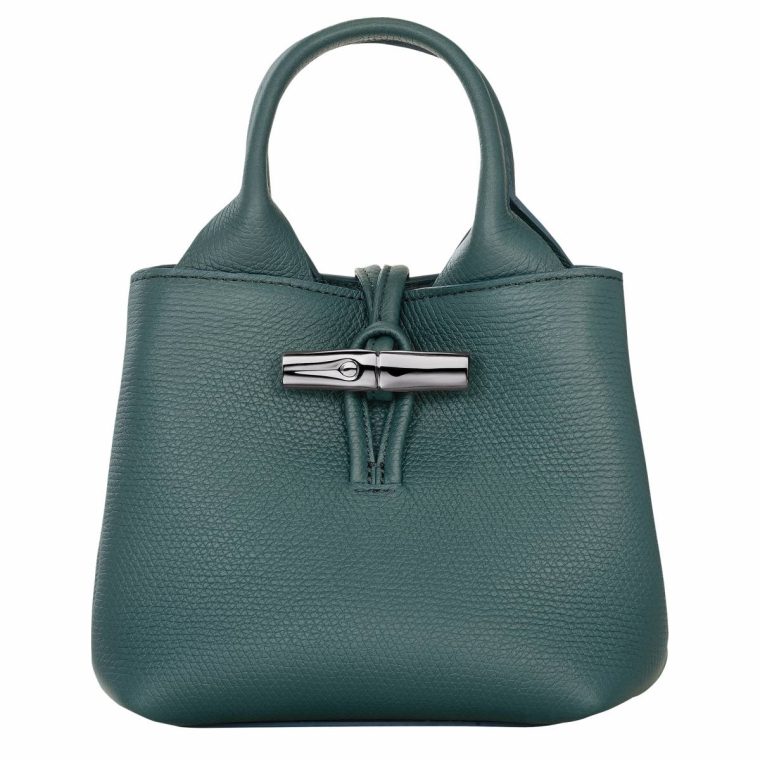 Cedar Leather Bags Women Le Roseau Xs Handbag Cedar - Leather Longchamp