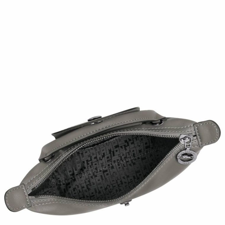 Le Pliage Xtra Xs Pouch Turtledove - Leather Women Turtledove Leather Bags Longchamp - Image 5