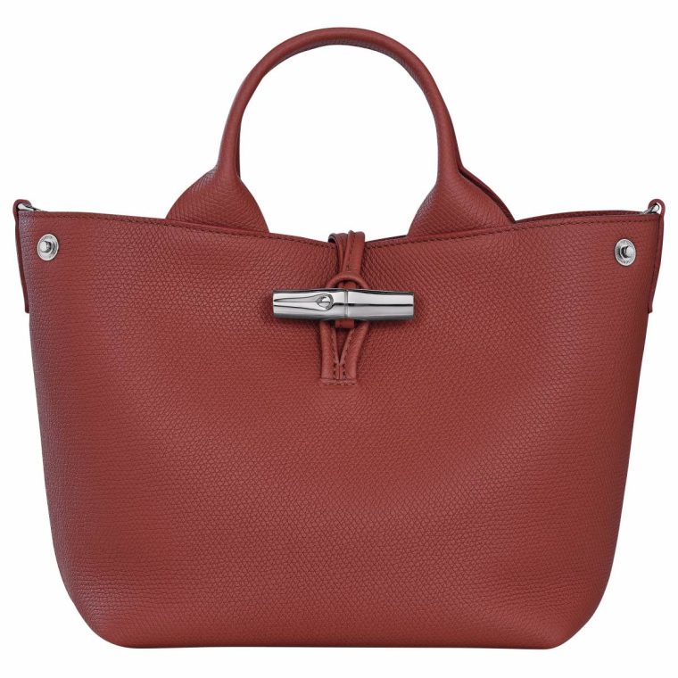 Le Roseau S Handbag Chestnut - Leather Chestnut Leather Bags Women Longchamp - Image 4