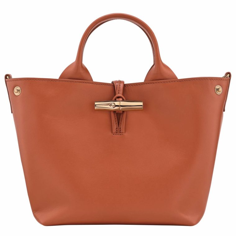 Leather Bags Le Roseau S Handbag Bark - Leather Women Bark Longchamp - Image 5
