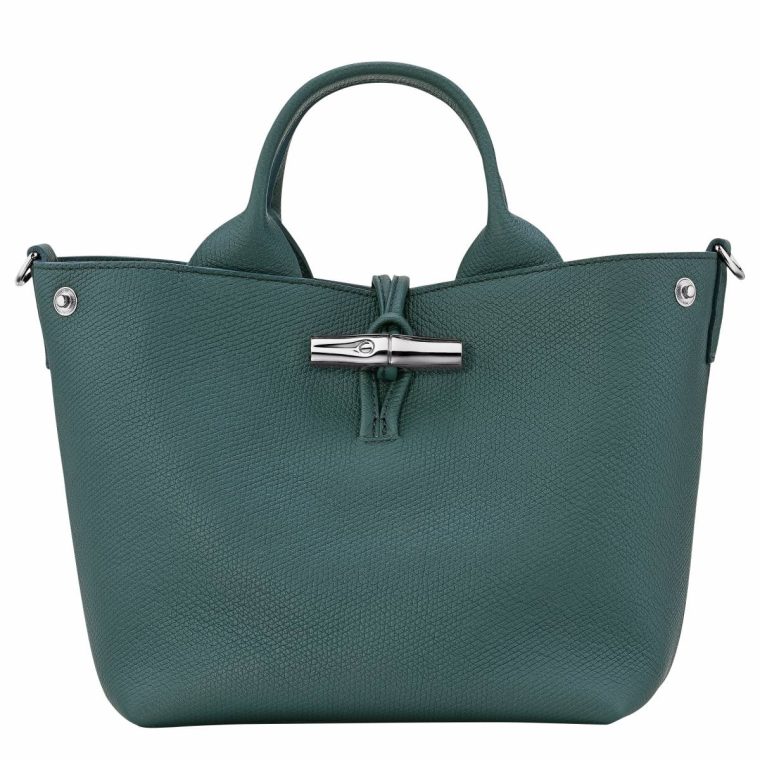 Longchamp Le Roseau S Handbag Cedar - Leather Cedar Leather Bags Women - Image 5