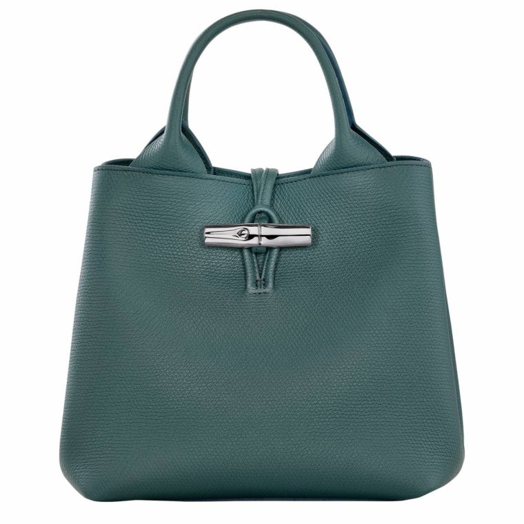 Longchamp Le Roseau S Handbag Cedar - Leather Cedar Leather Bags Women