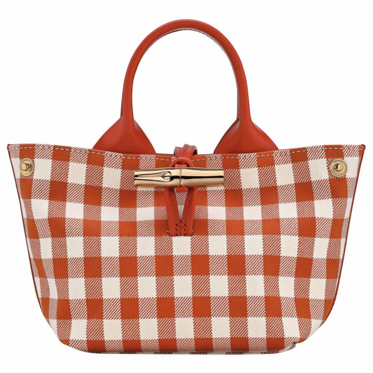 Mini Bags Longchamp Bark Le Roseau Xs Handbag Bark - Canvas Women - Image 5