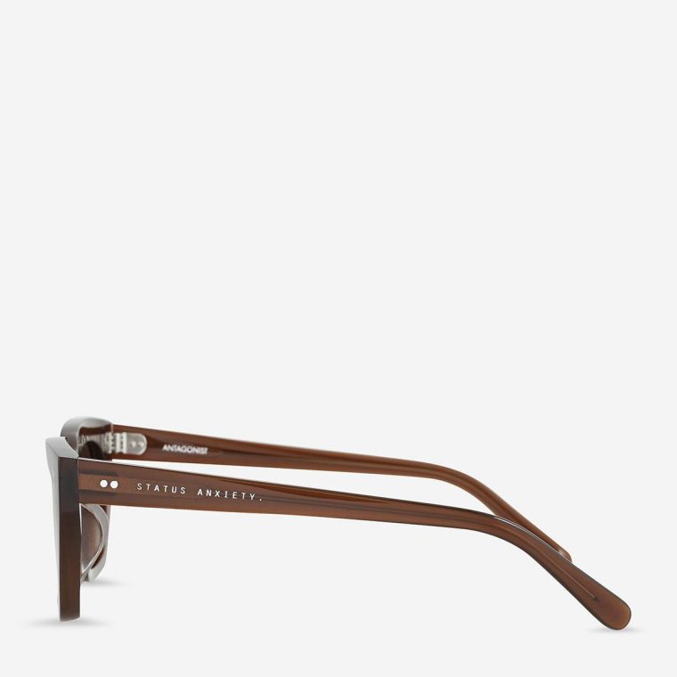Status Anxiety Brown Antagonist Sunglasses - Brown Women Sunglasses - Image 3