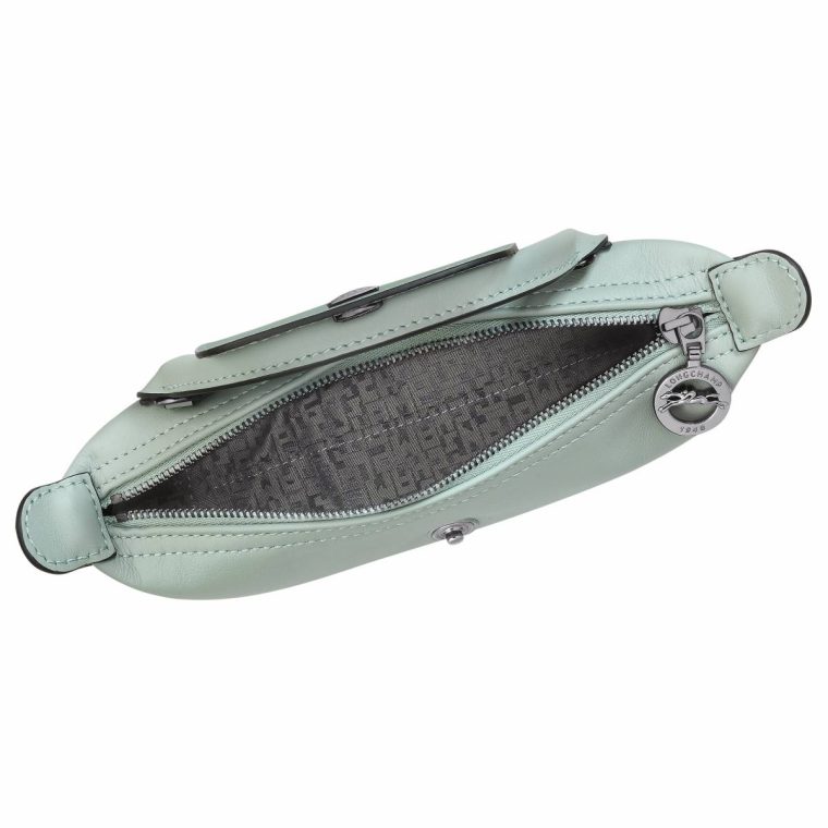 Vervain Women Longchamp Leather Bags Le Pliage Xtra Xs Pouch Vervain - Leather - Image 5