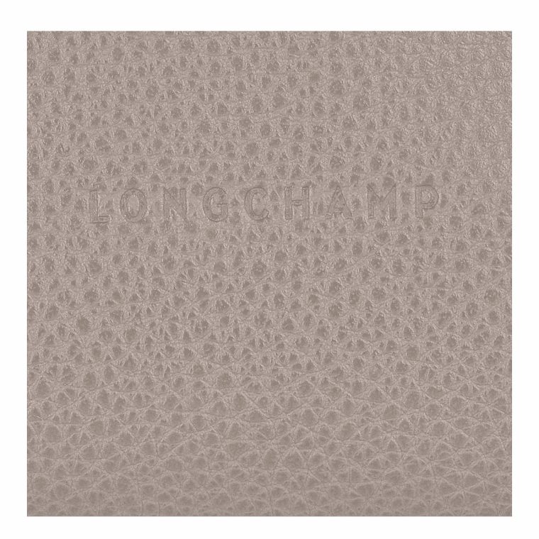 Women Longchamp Cardholders & Coin Purses Turtledove Le Foulonné Coin Purse Turtledove - Leather - Image 3
